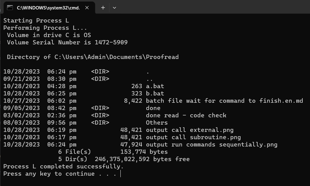 wait-for-command-to-finish-execution-in-windows-batch-file-delft-stack